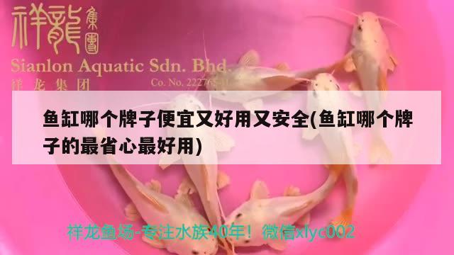 鱼缸哪个牌子便宜又好用又安全(鱼缸哪个牌子的最省心最好用)