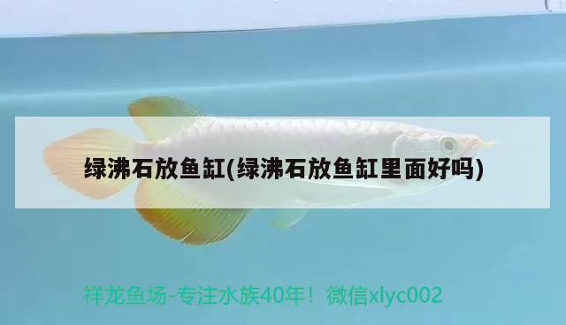 绿沸石放鱼缸(绿沸石放鱼缸里面好吗) 其它水族用具设备