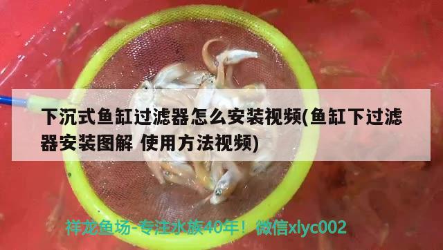 下沉式鱼缸过滤器怎么安装视频(鱼缸下过滤器安装图解使用方法视频)