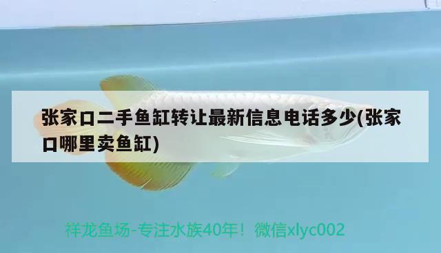 张家口二手鱼缸转让最新信息电话多少(张家口哪里卖鱼缸) 和尚鱼