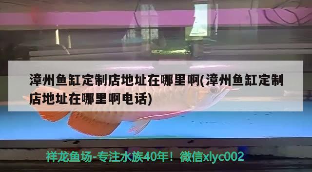 漳州鱼缸定制店地址在哪里啊(漳州鱼缸定制店地址在哪里啊电话)