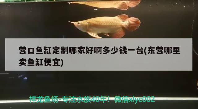 营口鱼缸定制哪家好啊多少钱一台(东营哪里卖鱼缸便宜)