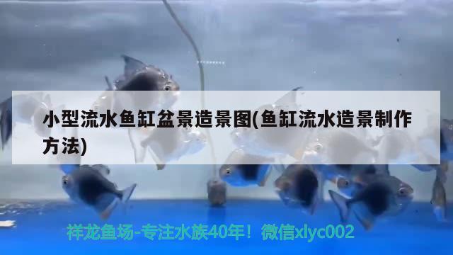 小型流水鱼缸盆景造景图(鱼缸流水造景制作方法) 广州水族器材滤材批发市场