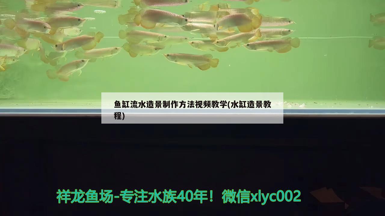 鱼缸流水造景制作方法视频教学(水缸造景教程) 白化火箭