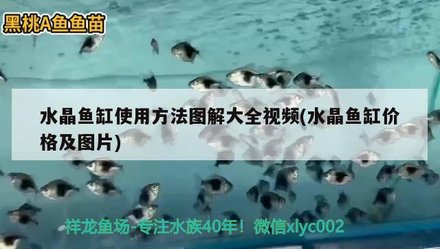 水晶鱼缸使用方法图解大全视频(水晶鱼缸价格及图片) 观赏鱼企业目录