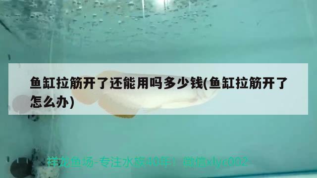 鱼缸拉筋开了还能用吗多少钱(鱼缸拉筋开了怎么办) 广州龙鱼批发市场