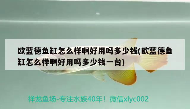 欧蓝德鱼缸怎么样啊好用吗多少钱(欧蓝德鱼缸怎么样啊好用吗多少钱一台) 广州龙鱼批发市场