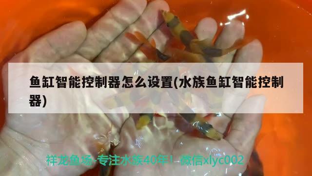 鱼缸智能控制器怎么设置(水族鱼缸智能控制器)