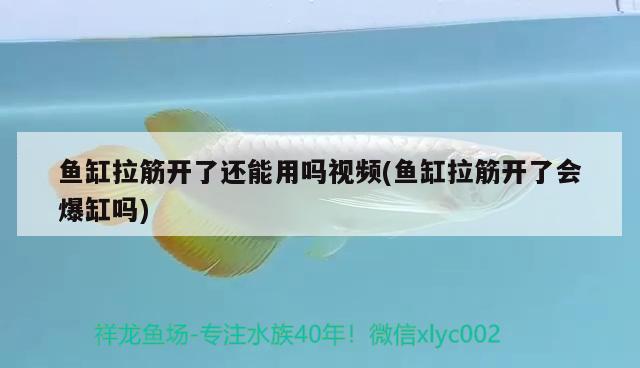 鱼缸拉筋开了还能用吗视频(鱼缸拉筋开了会爆缸吗) 水族世界 第2张