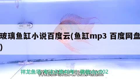 玻璃鱼缸小说百度云(鱼缸mp3百度网盘)