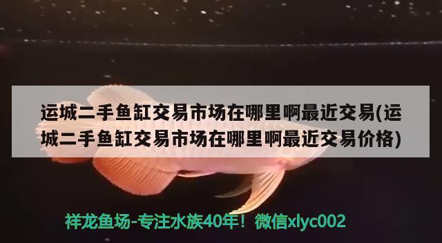 运城二手鱼缸交易市场在哪里啊最近交易(运城二手鱼缸交易市场在哪里啊最近交易价格) 南美异型鱼