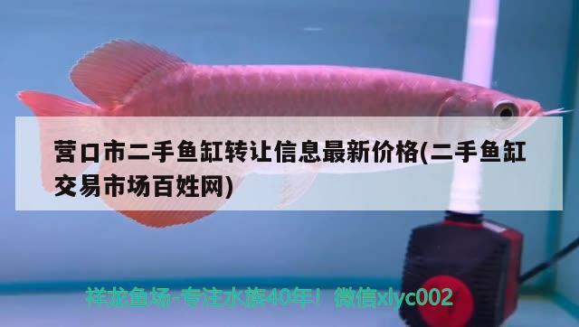 营口市二手鱼缸转让信息最新价格(二手鱼缸交易市场百姓网) 广州水族器材滤材批发市场