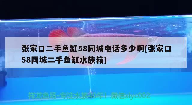 张家口二手鱼缸58同城电话多少啊(张家口58同城二手鱼缸水族箱) 鱼缸/水族箱