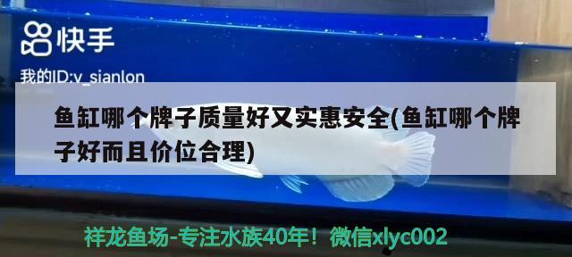 鱼缸哪个牌子质量好又实惠安全(鱼缸哪个牌子好而且价位合理) 黑影道人鱼