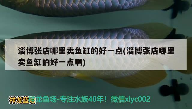 淄博张店哪里卖鱼缸的好一点(淄博张店哪里卖鱼缸的好一点啊)