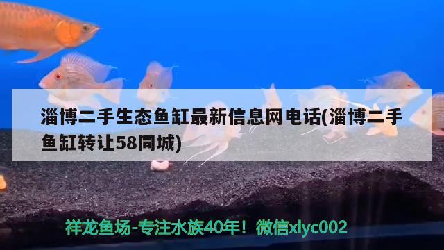 淄博二手生态鱼缸最新信息网电话(淄博二手鱼缸转让58同城) 其他益生菌