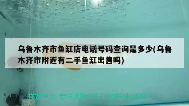 乌鲁木齐市鱼缸店电话号码查询是多少(乌鲁木齐市附近有二手鱼缸出售吗) 黑水素