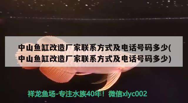 中山鱼缸改造厂家联系方式及电话号码多少(中山鱼缸改造厂家联系方式及电话号码多少) 祥龙水族滤材/器材