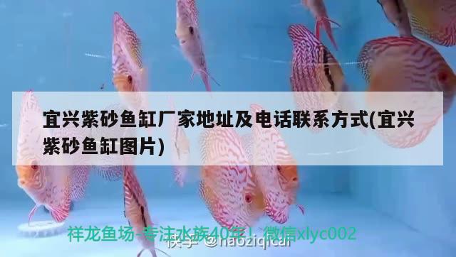 宜兴紫砂鱼缸厂家地址及电话联系方式(宜兴紫砂鱼缸图片) 水族品牌