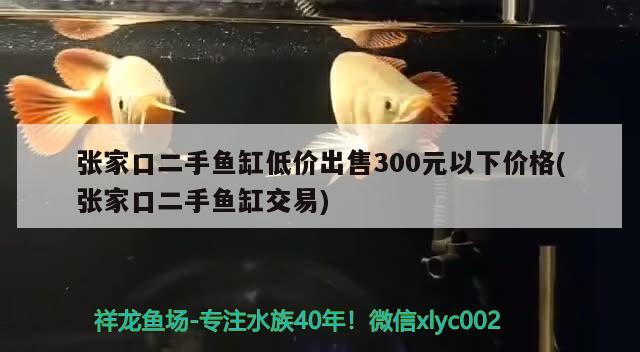 张家口二手鱼缸低价出售300元以下价格(张家口二手鱼缸交易) 养鱼知识