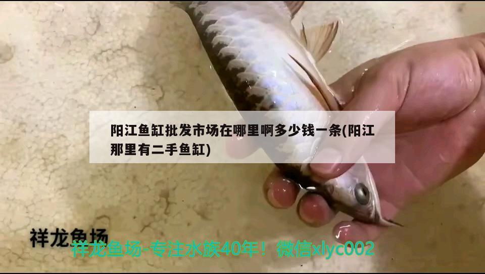 阳江鱼缸批发市场在哪里啊多少钱一条(阳江那里有二手鱼缸) 金龙鱼粮