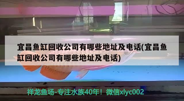 宜昌鱼缸回收公司有哪些地址及电话(宜昌鱼缸回收公司有哪些地址及电话)