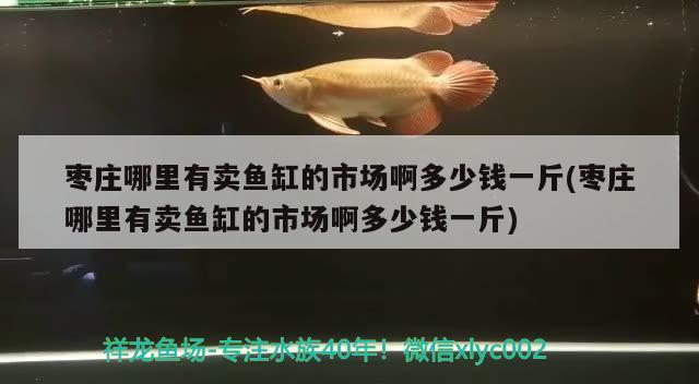 枣庄哪里有卖鱼缸的市场啊多少钱一斤(枣庄哪里有卖鱼缸的市场啊多少钱一斤) 红头利鱼