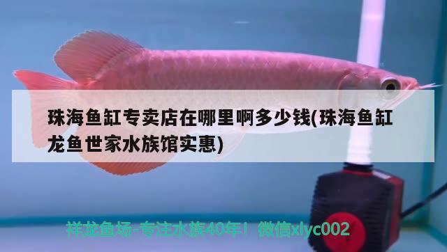 珠海鱼缸专卖店在哪里啊多少钱(珠海鱼缸龙鱼世家水族馆实惠) 魟鱼百科