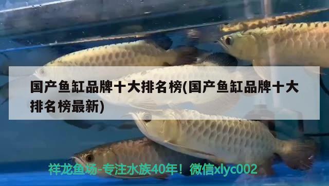 国产鱼缸品牌十大排名榜(国产鱼缸品牌十大排名榜最新) 广州水族器材滤材批发市场