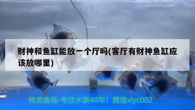 财神和鱼缸能放一个厅吗(客厅有财神鱼缸应该放哪里)