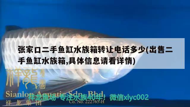 张家口二手鱼缸水族箱转让电话多少(出售二手鱼缸水族箱,具体信息请看详情)