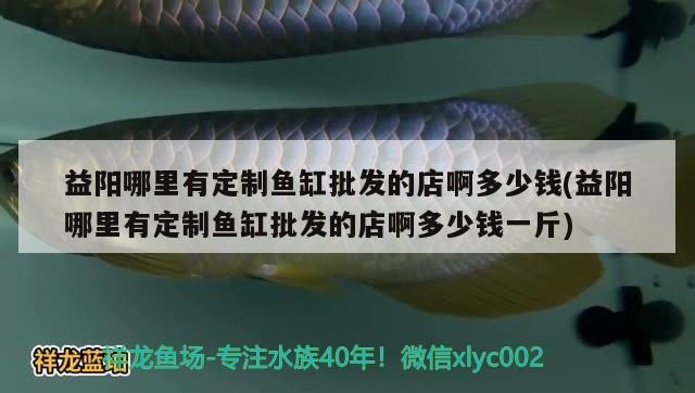 益阳哪里有定制鱼缸批发的店啊多少钱(益阳哪里有定制鱼缸批发的店啊多少钱一斤) 巨骨舌鱼 第2张