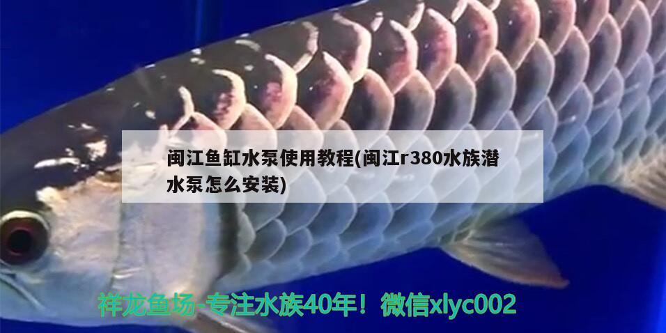 闽江鱼缸水泵使用教程(闽江r380水族潜水泵怎么安装) 鱼缸水泵