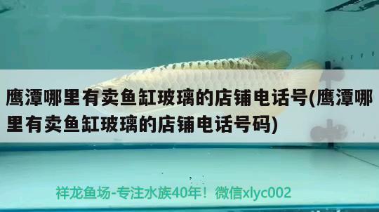 鹰潭哪里有卖鱼缸玻璃的店铺电话号(鹰潭哪里有卖鱼缸玻璃的店铺电话号码)