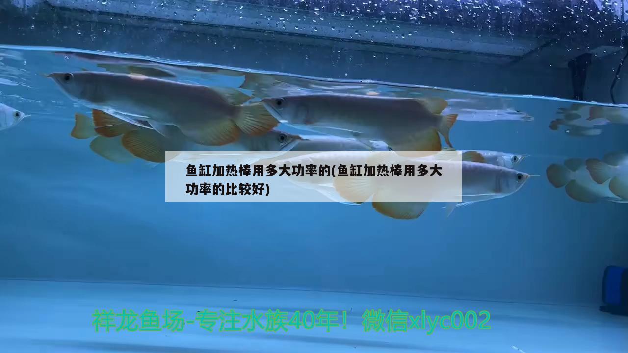 鱼缸加热棒用多大功率的(鱼缸加热棒用多大功率的比较好) 水族灯（鱼缸灯）