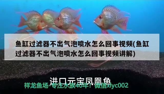 鱼缸过滤器不出气泡喷水怎么回事视频(鱼缸过滤器不出气泡喷水怎么回事视频讲解)