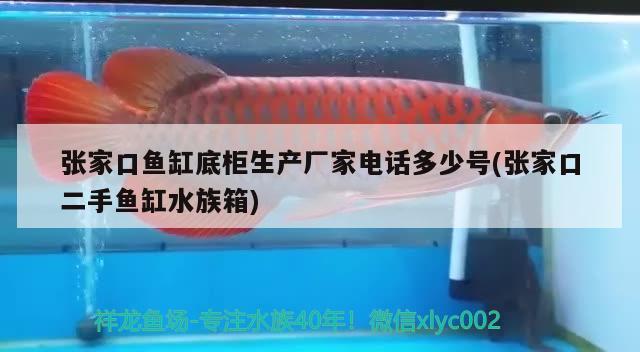 张家口鱼缸底柜生产厂家电话多少号(张家口二手鱼缸水族箱)