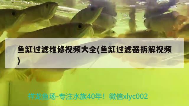 鱼缸过滤维修视频大全(鱼缸过滤器拆解视频) 水族品牌