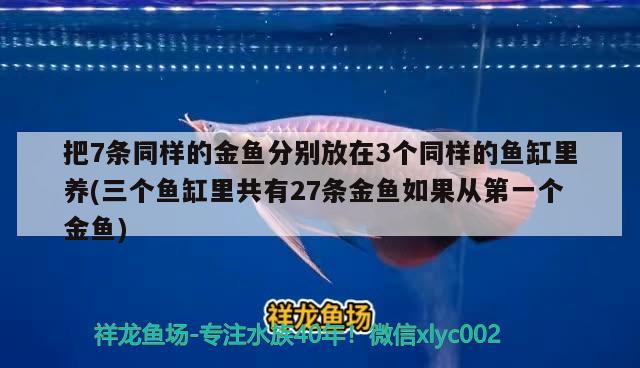 把7条同样的金鱼分别放在3个同样的鱼缸里养(三个鱼缸里共有27条金鱼如果从第一个金鱼) 粗线银版鱼苗