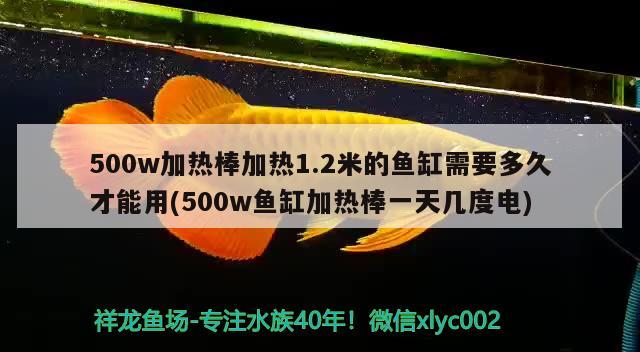 500w加热棒加热1.2米的鱼缸需要多久才能用(500w鱼缸加热棒一天几度电) 黄鳍鲳鱼