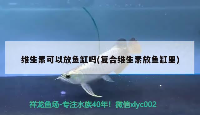 维生素可以放鱼缸吗(复合维生素放鱼缸里) 水族用品