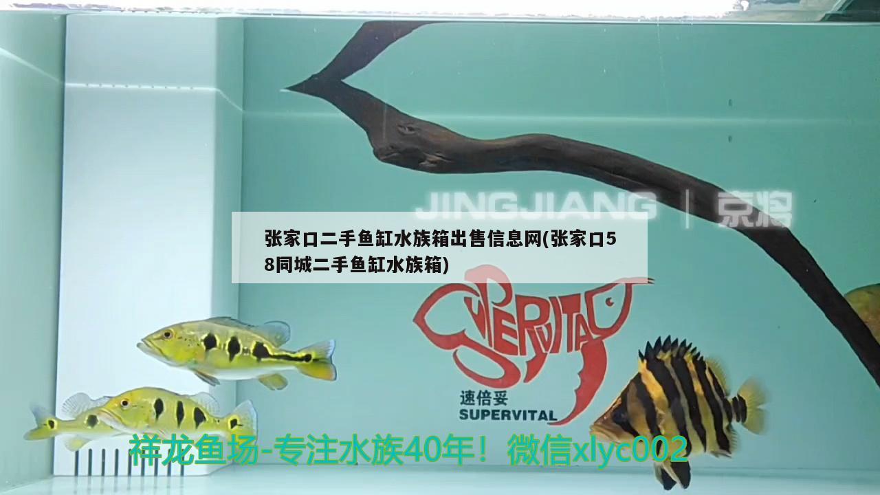 张家口二手鱼缸水族箱出售信息网(张家口58同城二手鱼缸水族箱) 鱼缸/水族箱