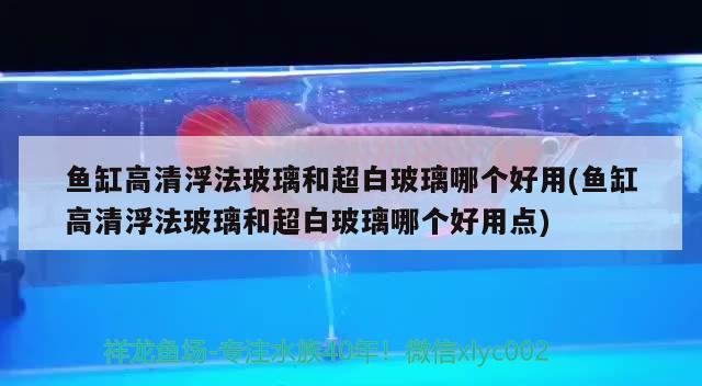 鱼缸高清浮法玻璃和超白玻璃哪个好用(鱼缸高清浮法玻璃和超白玻璃哪个好用点) 苏虎苗（苏门答腊虎鱼苗）