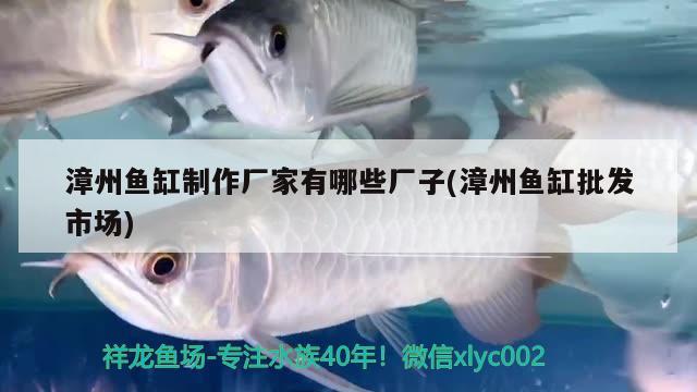 漳州鱼缸制作厂家有哪些厂子(漳州鱼缸批发市场) 祥龙水族护理水