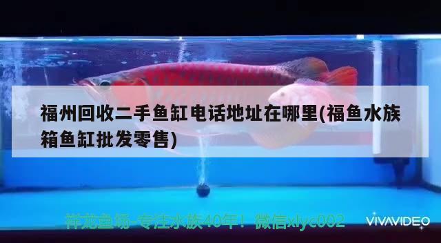 福州回收二手鱼缸电话地址在哪里(福鱼水族箱鱼缸批发零售)