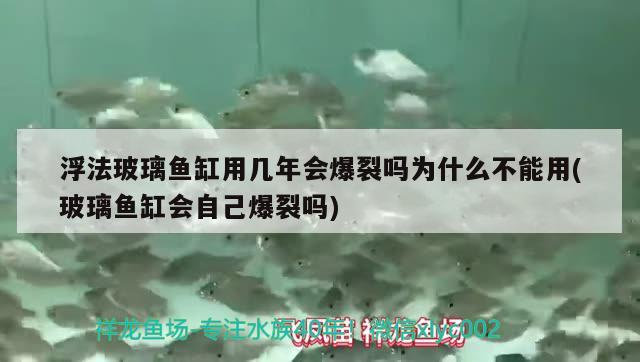 浮法玻璃鱼缸用几年会爆裂吗为什么不能用(玻璃鱼缸会自己爆裂吗)