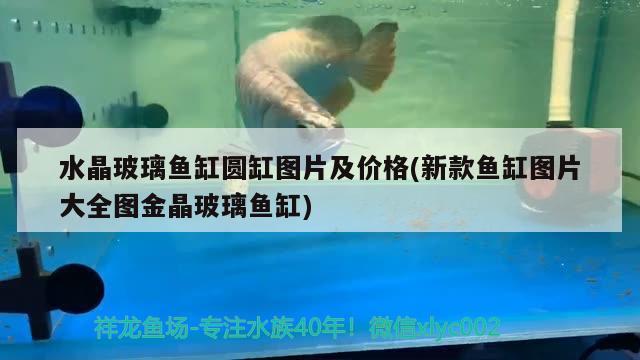 水晶玻璃鱼缸圆缸图片及价格(新款鱼缸图片大全图金晶玻璃鱼缸)