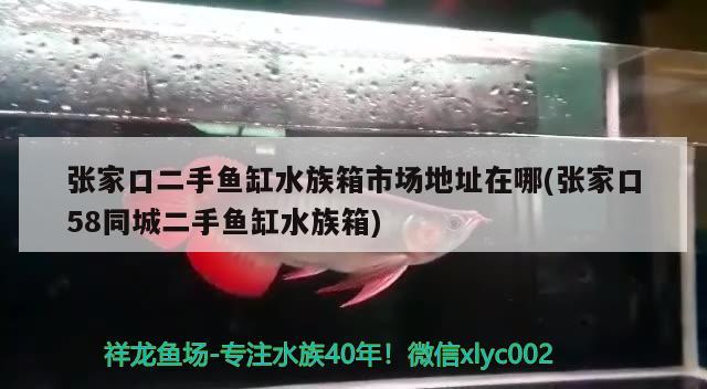 张家口二手鱼缸水族箱市场地址在哪(张家口58同城二手鱼缸水族箱)