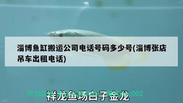 淄博鱼缸搬运公司电话号码多少号(淄博张店吊车出租电话) 喂食器