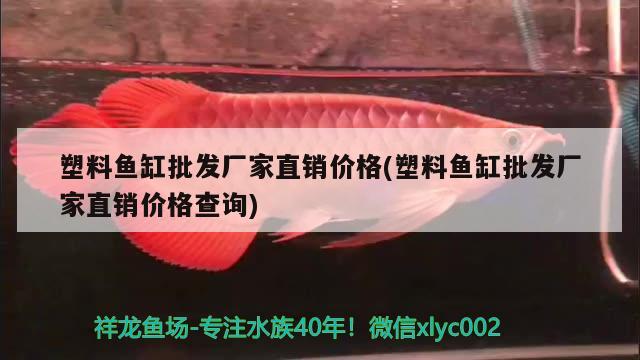 塑料鱼缸批发厂家直销价格(塑料鱼缸批发厂家直销价格查询) 鹦鹉鱼